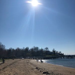 Meet your Posher, Avigail